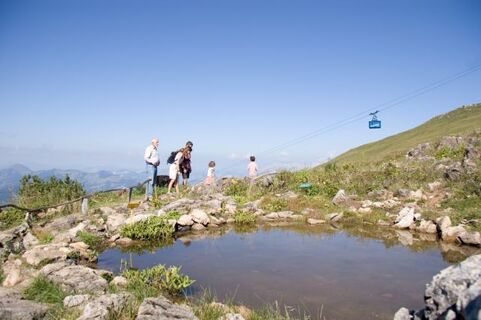 Alpenblumenweg