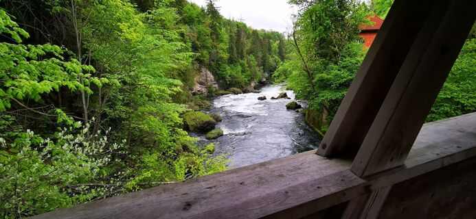 Фото с сайта Klaus Lehner во время экскурсии