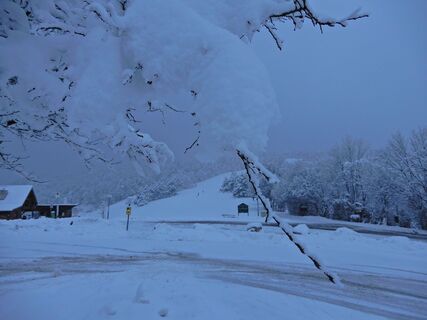 Gießhübl - Wasserspreng - Höllenstein - Seewiese - Gießhübl