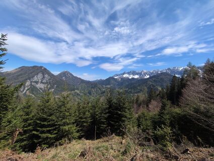 Photo de Thomas Fischer le long du parcours
