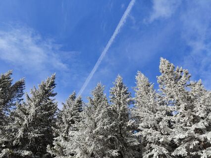 Fotografija s spletne strani Lena Eder na poti