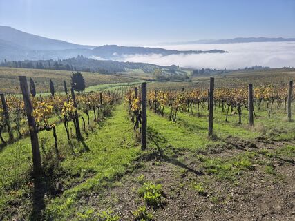 Foto von Thomi W entlang der Tour