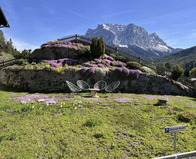 Alpinum Hostel Biberwier