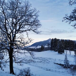 Winterwanderung Kammerl Runde