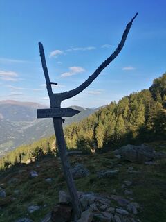 Photo de Dagmar Hofer le long du parcours