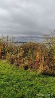 Photo de Julius Piger le long du parcours