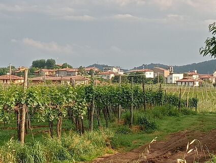 Foto de simone ravasi a lo largo del recorrido