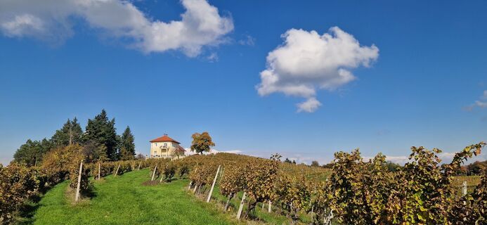 Foto von Peter Mandl entlang der Tour