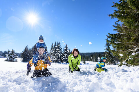 Familie im Schnee