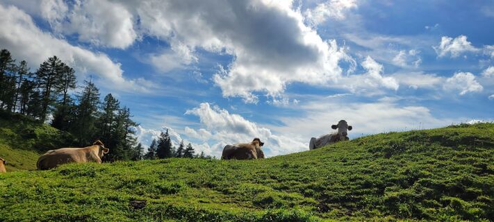 Fotografia z Juliane Jarke na trase
