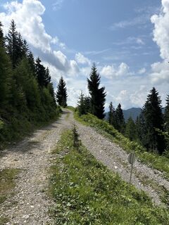 Foto von Heinz Sperl entlang der Tour