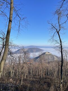 Foto von Willi Schüller entlang der Tour