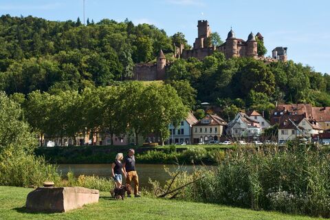 Taubertal_Spaziergang am Main mit Blick auf die Burg Wertheim