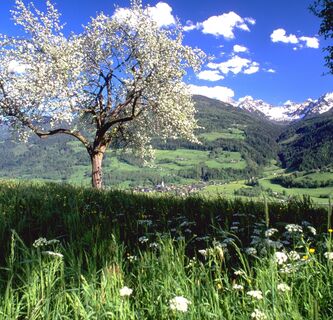 Panoramaweg 100 Sonnseite