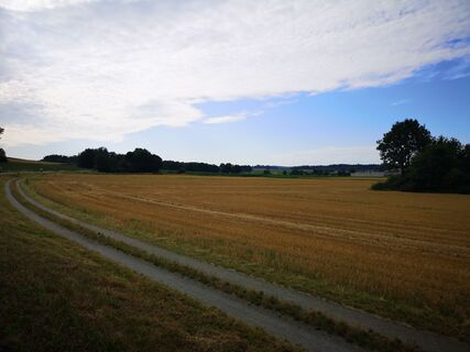 Foto från roxana62 under resans gång