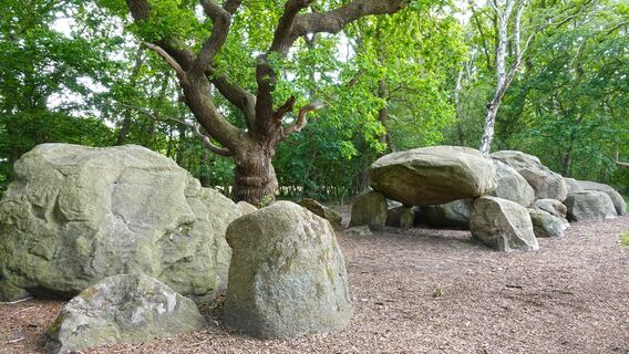 Großsteingrab Bruneforths Esch