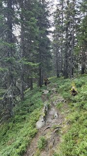 Photo de Francesco Höllbacher le long du parcours