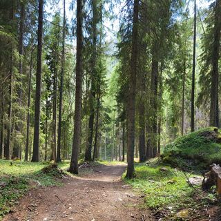 Foto von SebastianB entlang der Tour