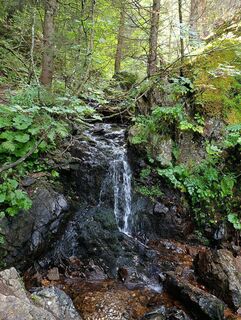 Fotografia z Florian Endres na trase