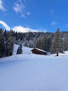 Foto da Michael Rohrmoser lungo il tour