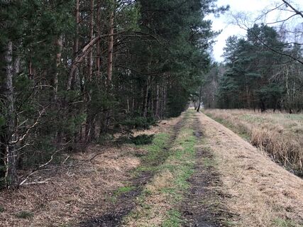 Wandertour "Rund um den Blinden See"