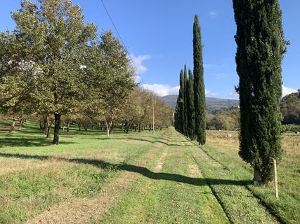 Foto da Andrea Morotti lungo il tour