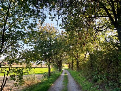 Kostbare Jubiläumsrunde Herzogenburg