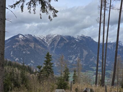 Fotografija s spletne strani Timon Bertignoll na poti