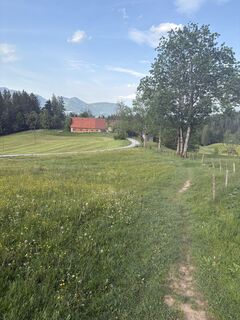 Foto von Tomáš Fenyk entlang der Tour