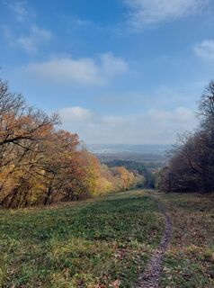 Fotografija s spletne strani Anikó Mák na poti