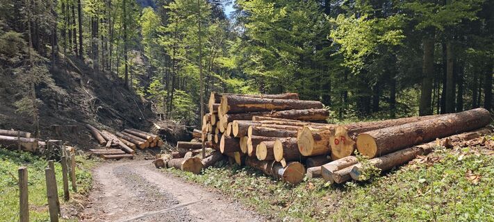 Fotografija s spletne strani deniuru na poti