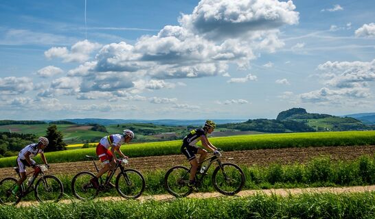 Tolle Aussichten in den Hegau auf der Höhe Homboll
