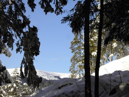Saualpe - Blick zum Speikkogel