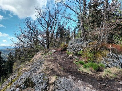 Fotografija s spletne strani Josef Eichinger na poti