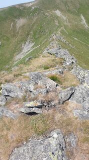 Zdjęcie z Imre Parajdi wzdłuż trasy