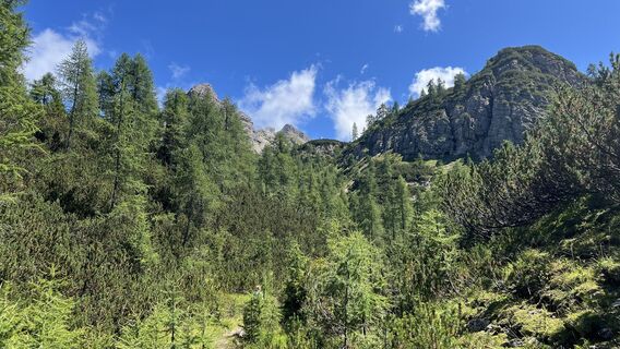 Foto de Pezzotta a lo largo del recorrido