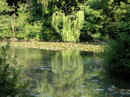 Idyllischer Hermannsee
