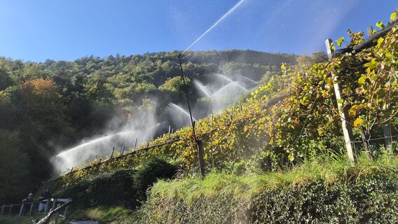 Fotografija s spletne strani W Jude na poti
