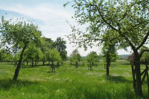 Lienen_Teutoschleife Holperdorper_Obstwiese_Anja Schmidt.jpg