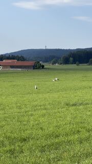 Foto von Axel Witt entlang der Tour