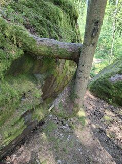 Photo de Moritz Haunold le long du parcours