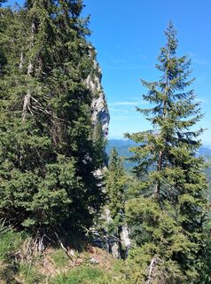 Foto von Sabrina Wiesbauer entlang der Tour