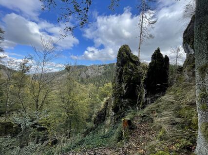 Fotografia z Marina I na trase