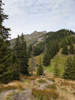 Photo de Andreas Bach le long du parcours