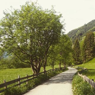 Karte