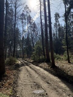 Photo de Andi le long du parcours