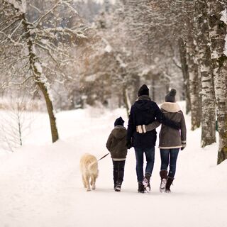 Spaziergang im Winter