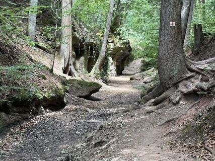Foto von Norbert Herbig entlang der Tour