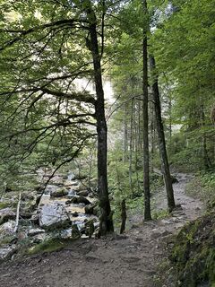 Foto von Cyrill Bischof entlang der Tour