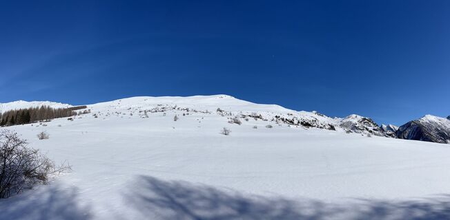 Fotografija s spletne strani Shugun na poti